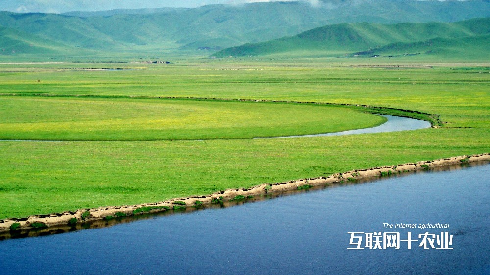 我們如何養活世界？面向未來的智能農業