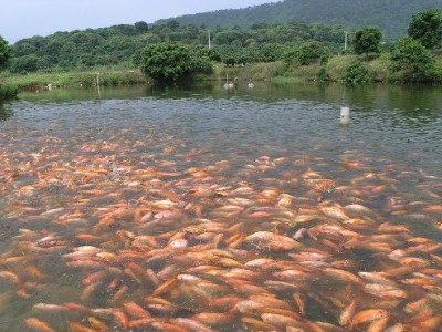 水產(chǎn)養(yǎng)殖水質(zhì)常規(guī)檢測的傳感器有哪些？
